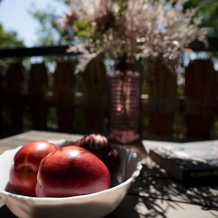 Appartementhausanlage Tiemann Herzmuschel 公寓